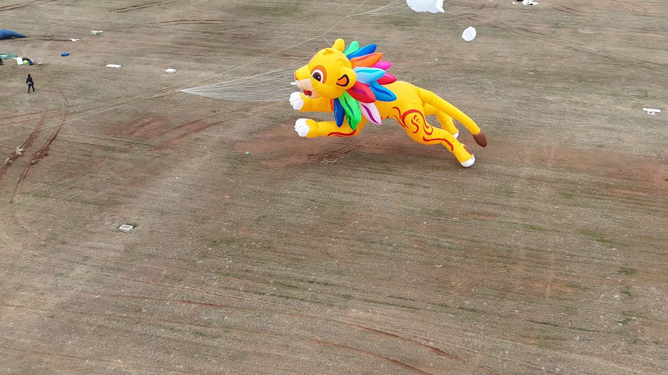 桂林市品牌风筝定制风筝批发 - 哪里好